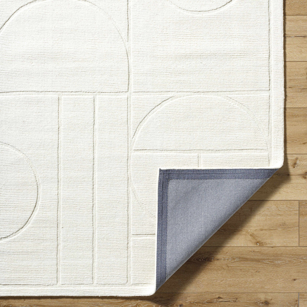 Carola Area Rug - Clearance