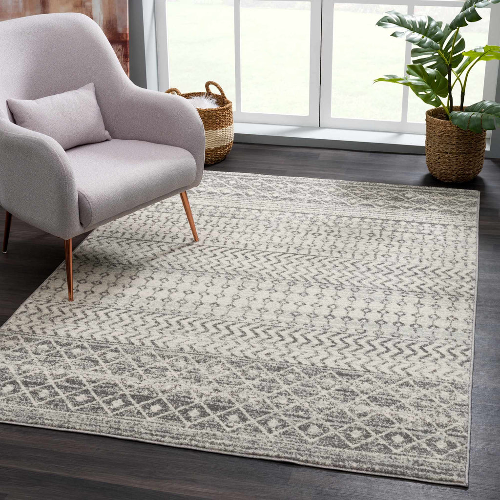 New Harput Area Rug - Clearance