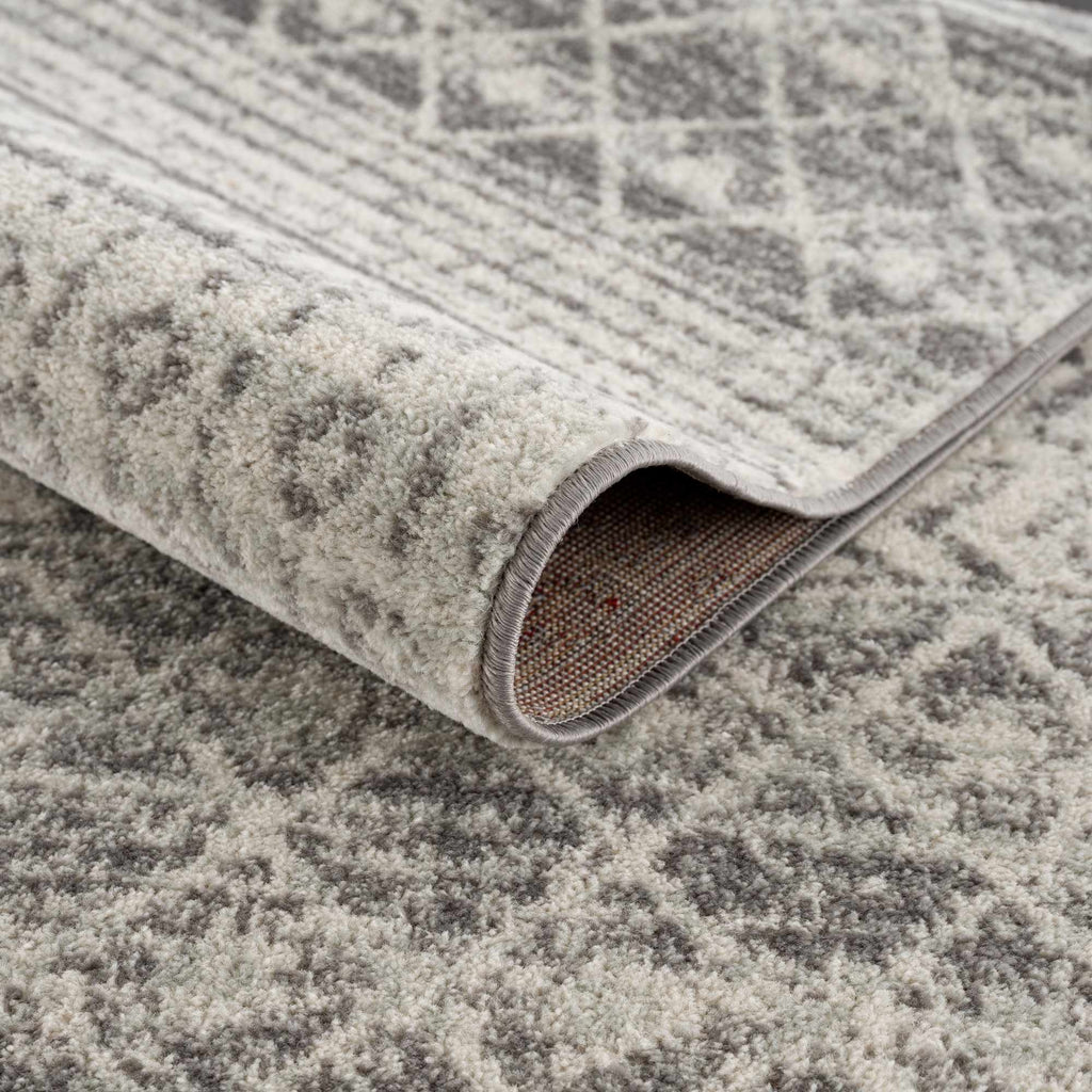 New Harput Area Rug - Clearance