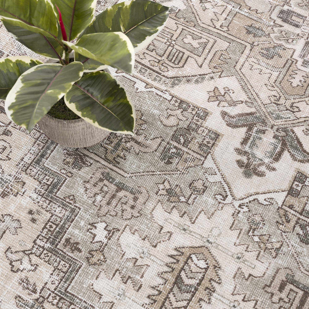 Nadia Area Rug - Clearance
