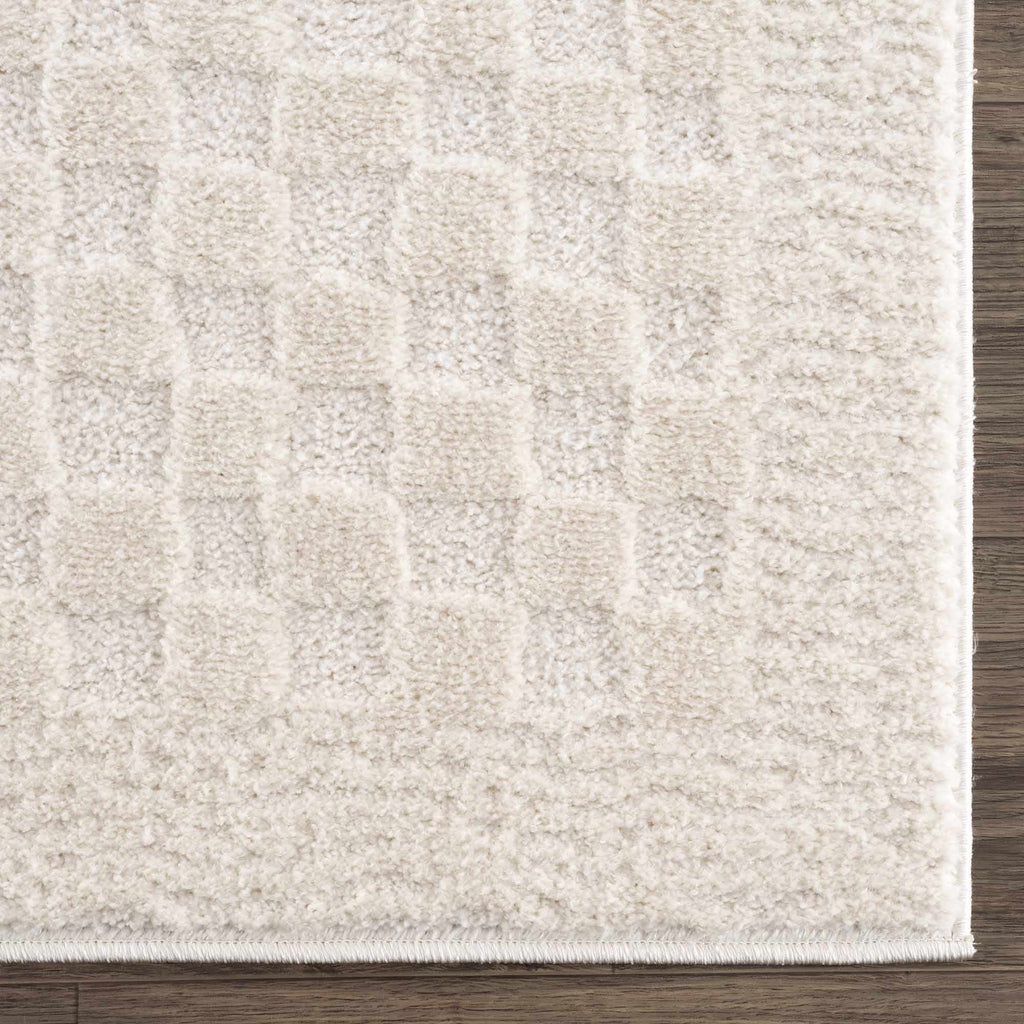 Aveline Elodie Ivory & Off White Contemporary Rug