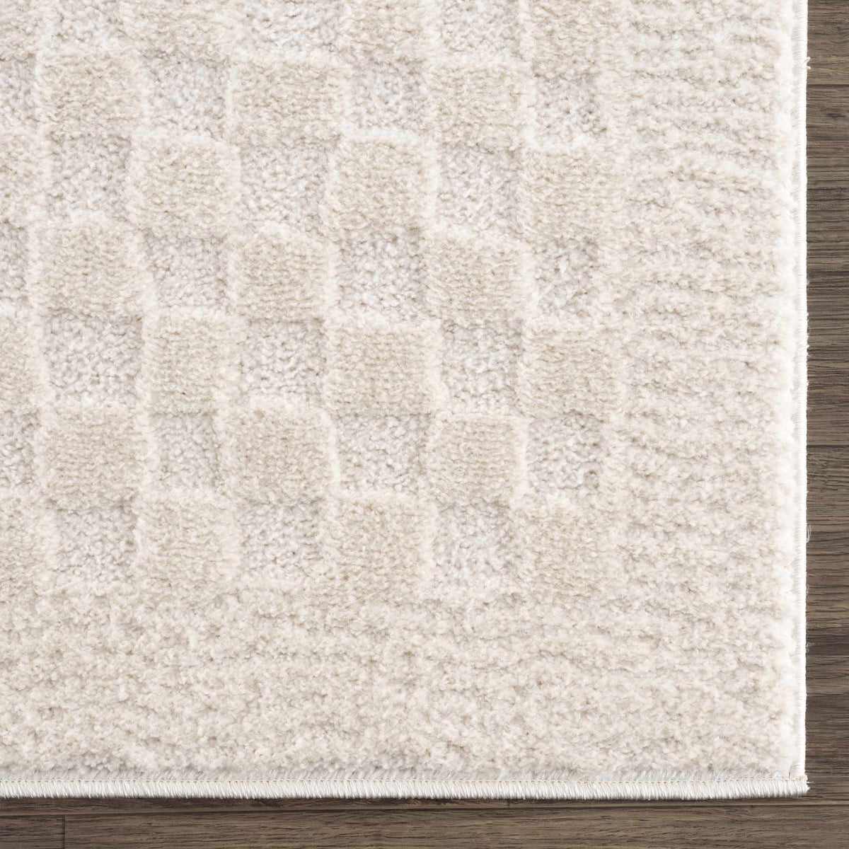 Aveline Elodie Ivory & Off White Contemporary Rug