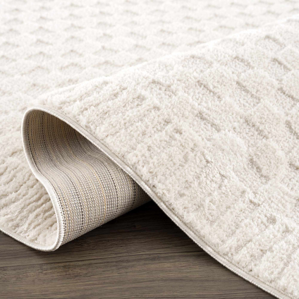 Aveline Elodie Ivory & Off White Contemporary Rug