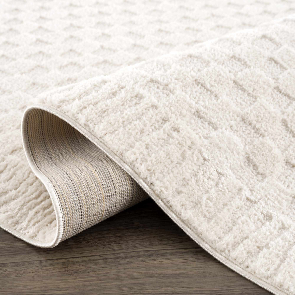 Aveline Elodie Ivory & Off White Contemporary Rug