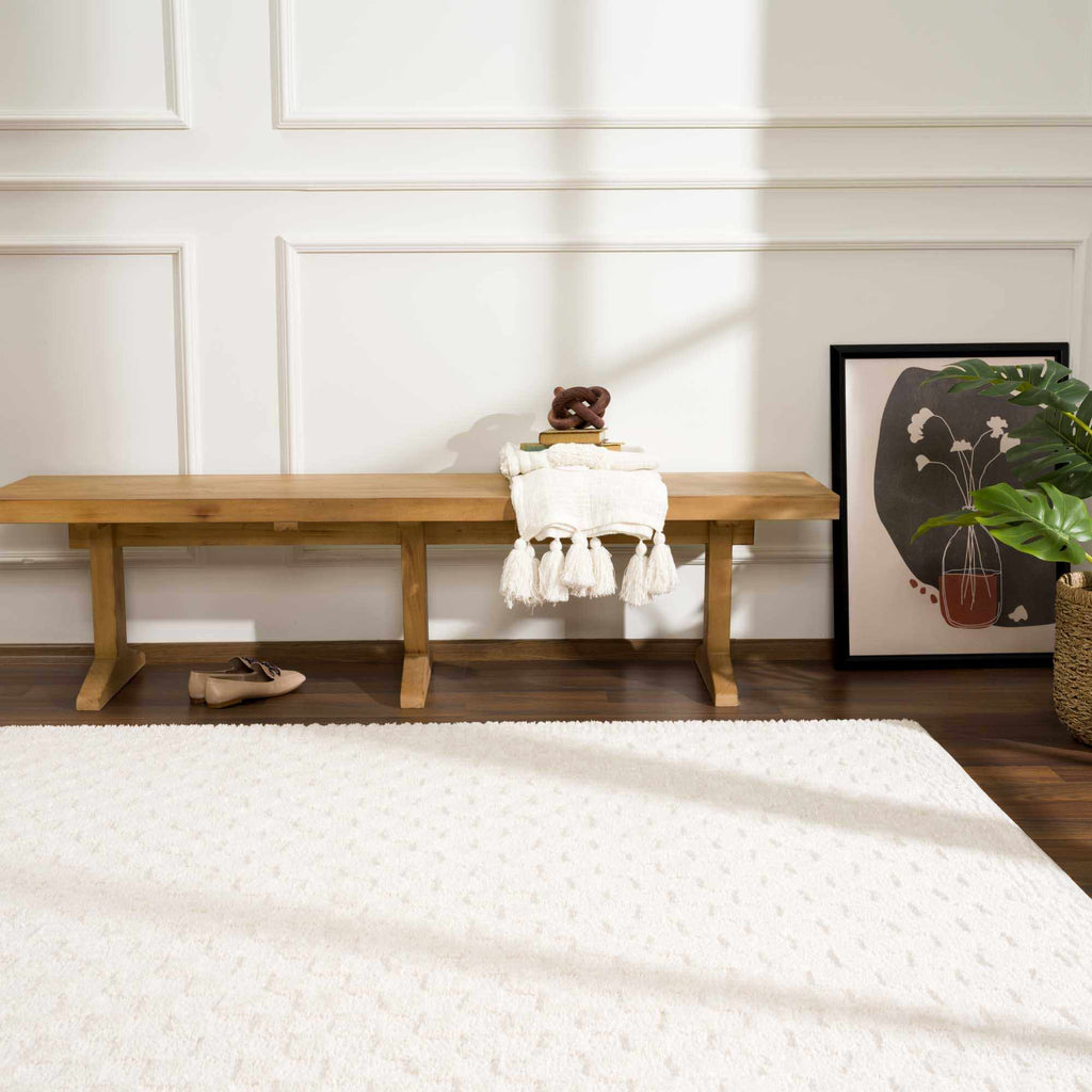Aveline Elodie Ivory & Off White Contemporary Rug