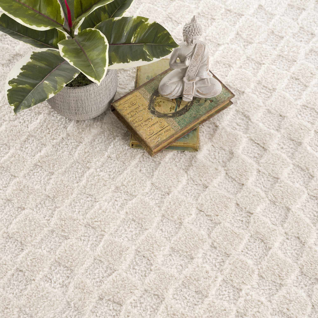 Aveline Elodie Ivory & Off White Contemporary Rug