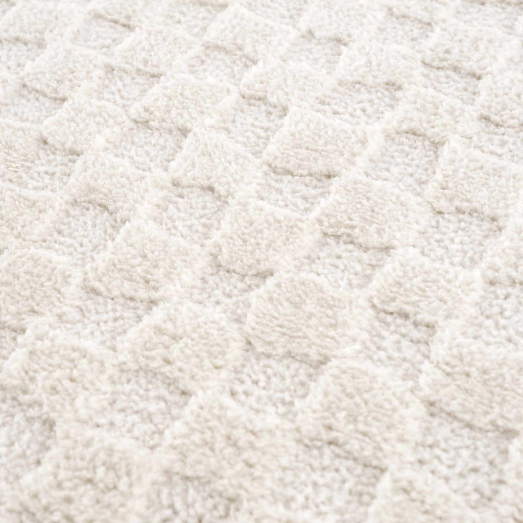 Aveline Elodie Ivory & Off White Contemporary Rug