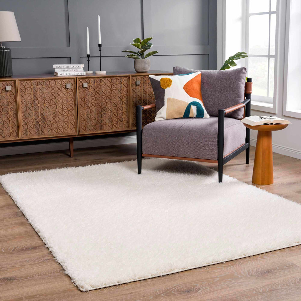 Faina Solid Cream Shag Washable Area Rug