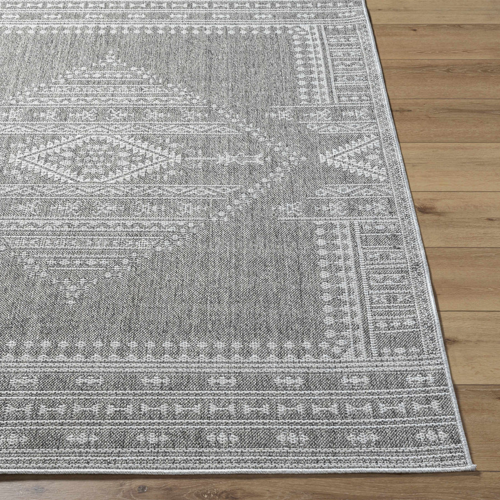 Asuman Outdoor Area Rug - Clearance