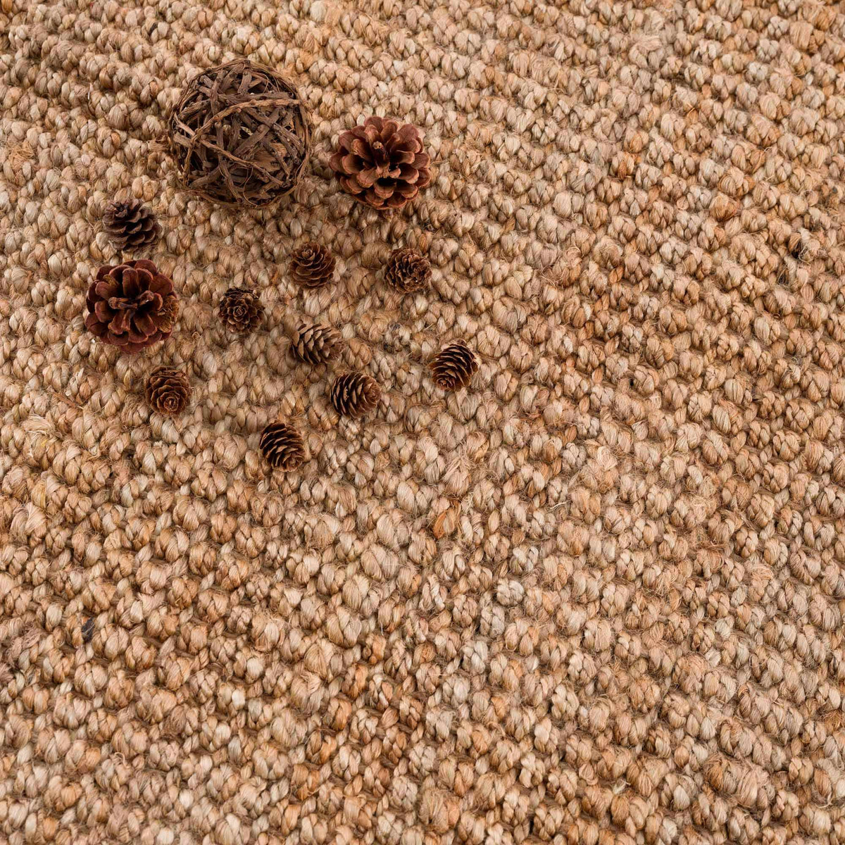 Sorelle Amara Light Brown Traditional Rug
