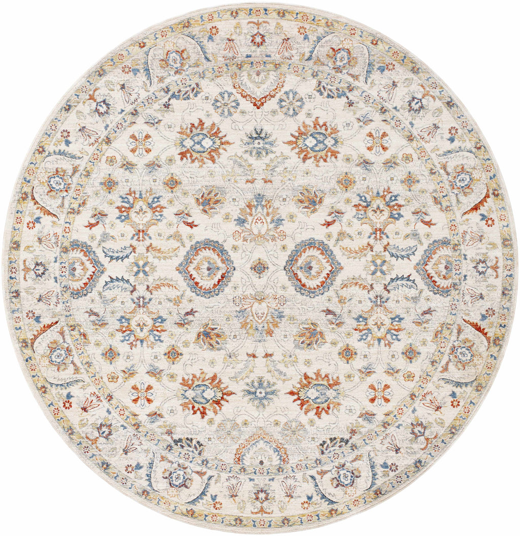 Araya Area Rug - Clearance