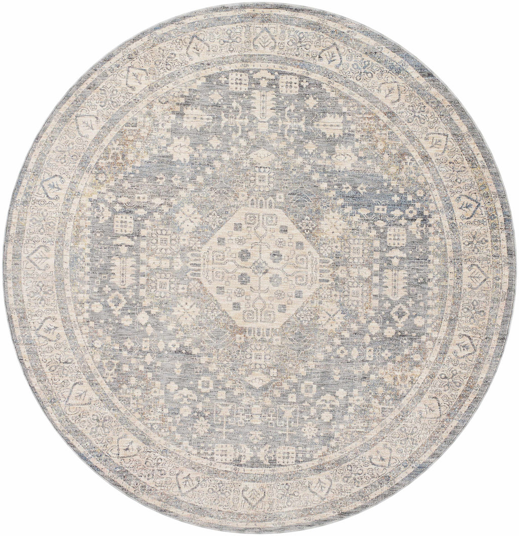 Artan Area Rug - Clearance