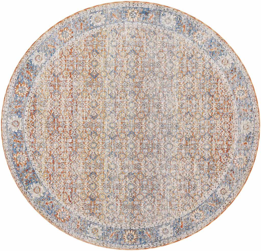Dalit Area Rug - Clearance