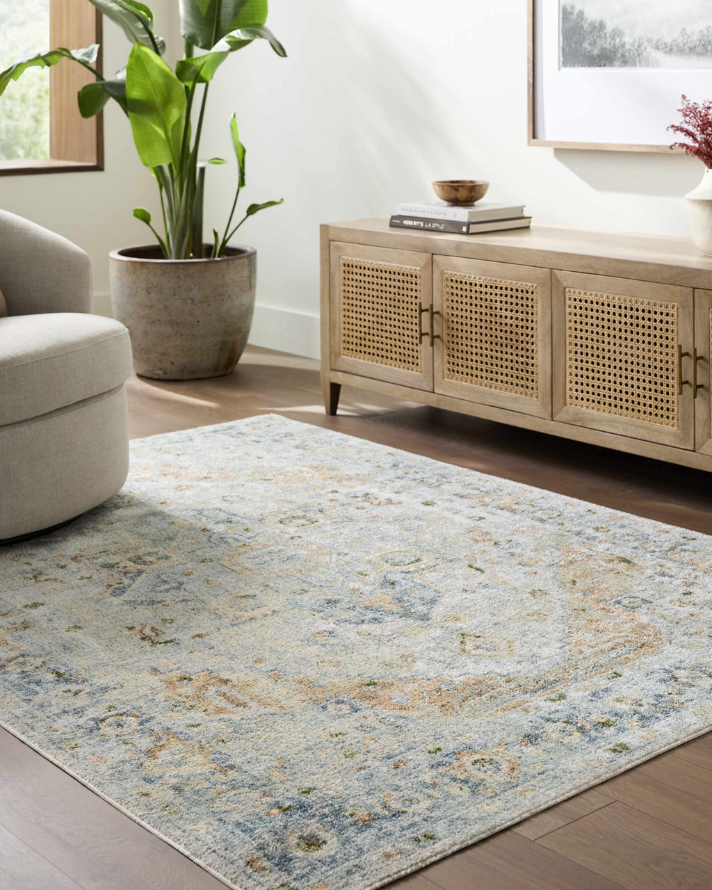 Ezri Washable Area Rug - Clearance