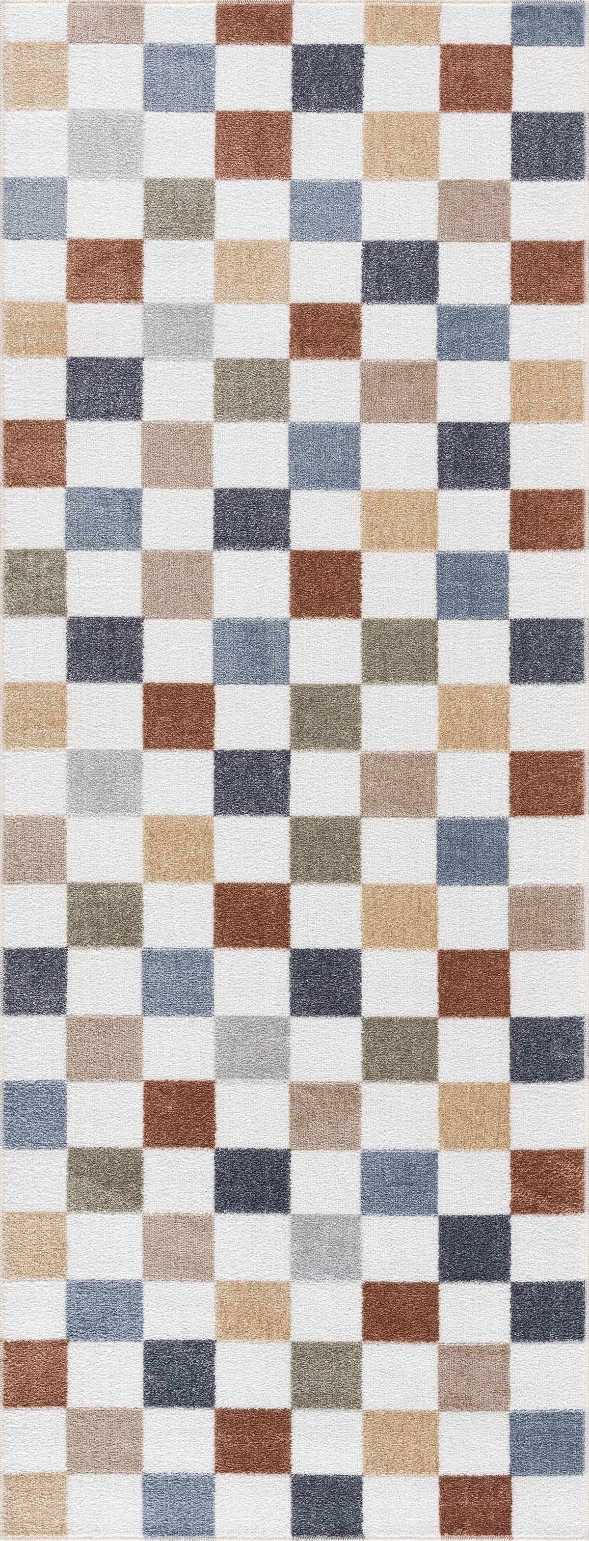 Alie Colorful Checkered Washable Runner Rug