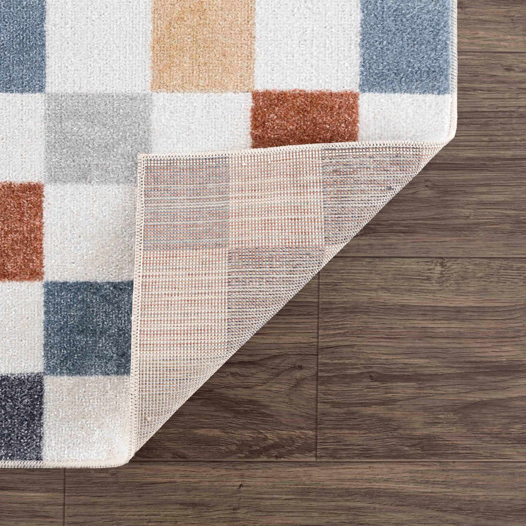 Alie Colorful Checkered Washable Runner Rug