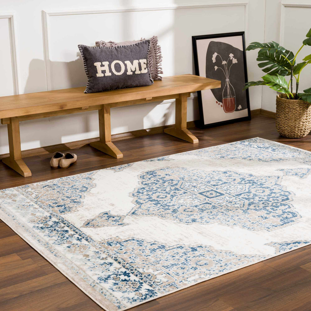 Amir Area Rug - Clearance