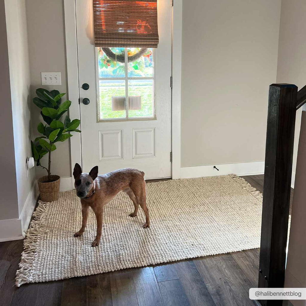 Sorelle Sunwash Cream Transitional Rug