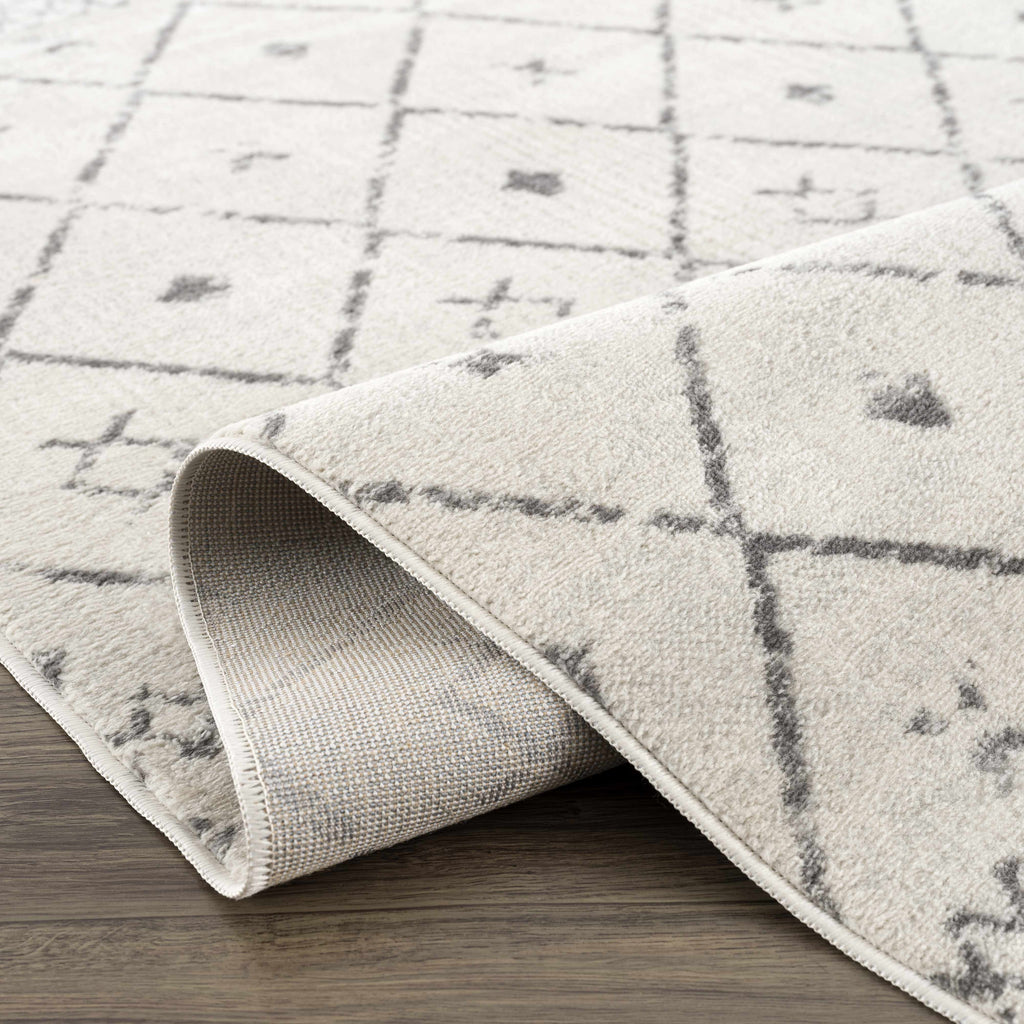 Tigris Area Rug