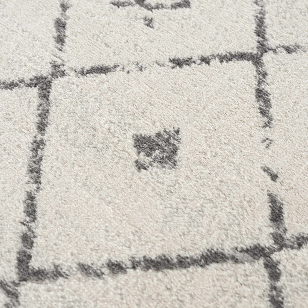 Tigris Area Rug