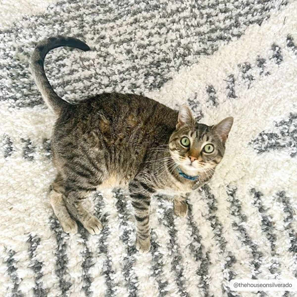 Arden Elara Charcoal&Cream Transitional Boho Rug