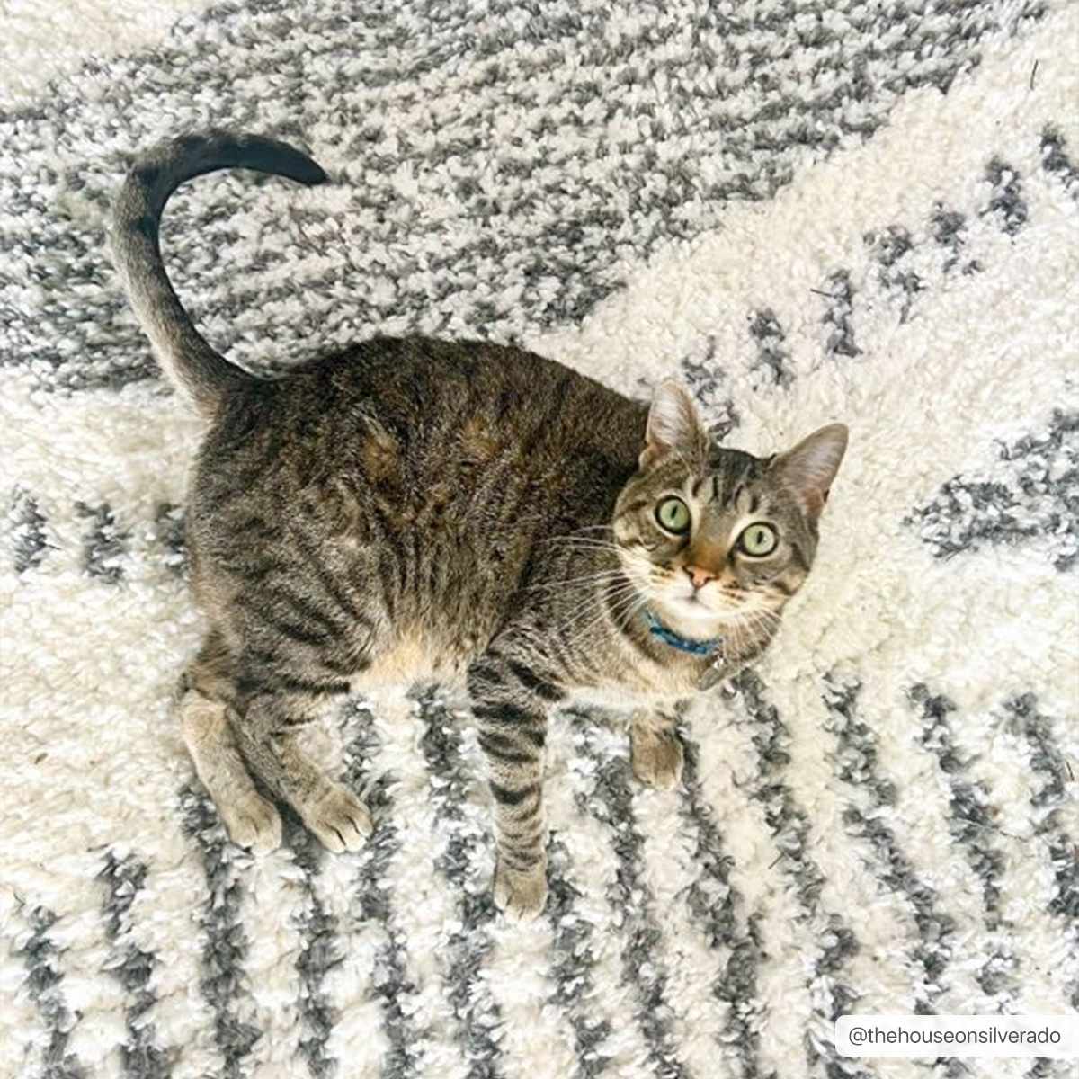 Arden Elara Charcoal&Cream Transitional Boho Rug