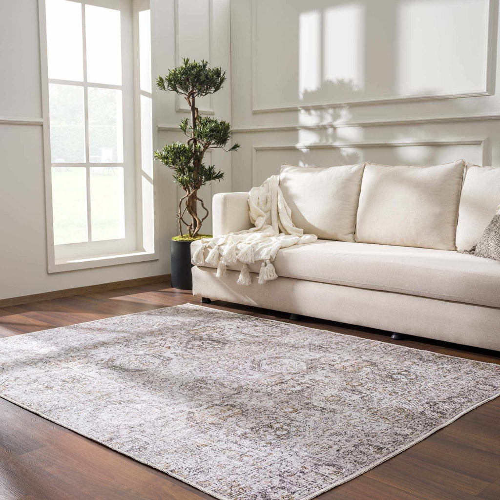 Marlowe Safira Beige & Gray Traditional Rug