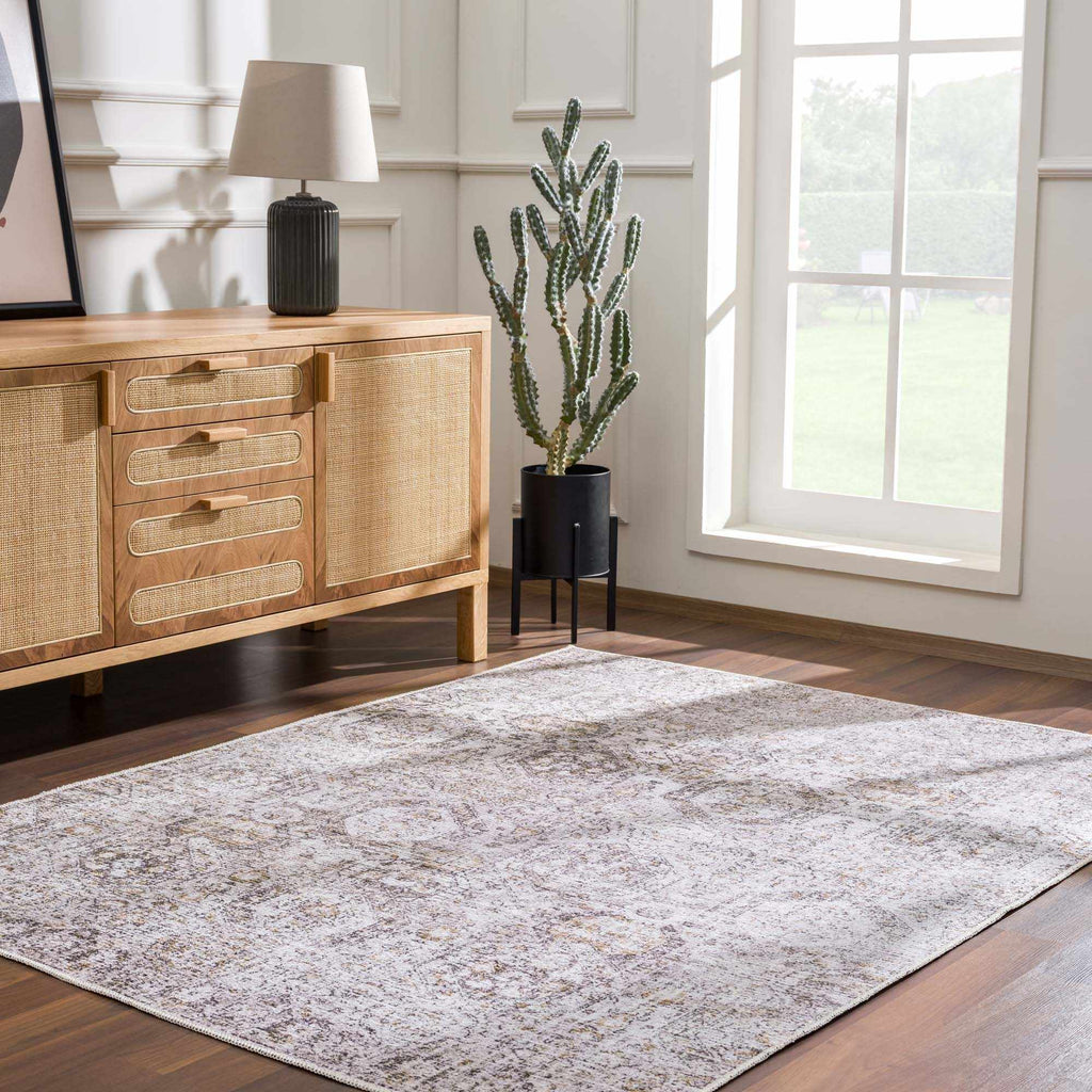 Marlowe Safira Beige & Gray Traditional Rug