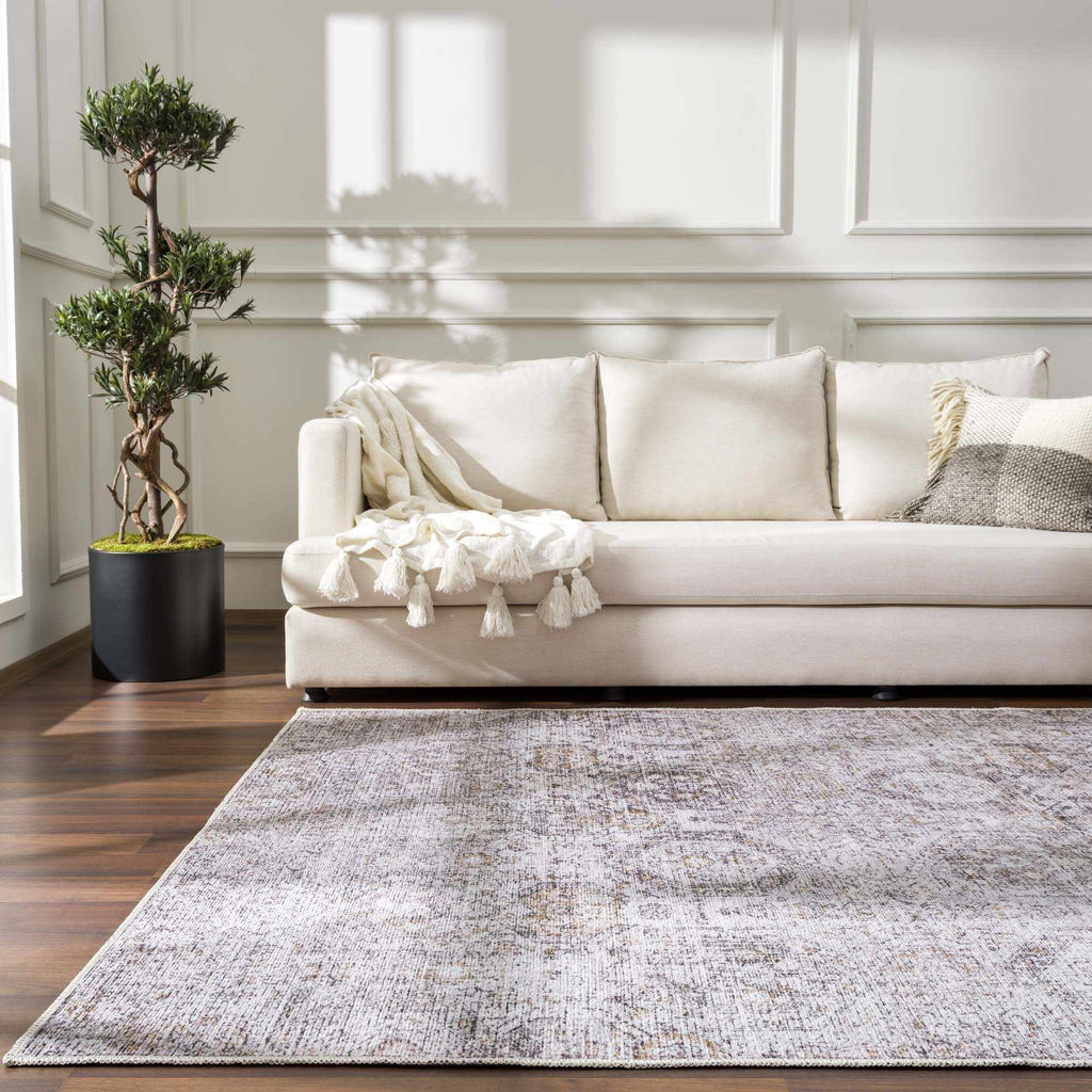 Marlowe Safira Beige & Gray Traditional Rug