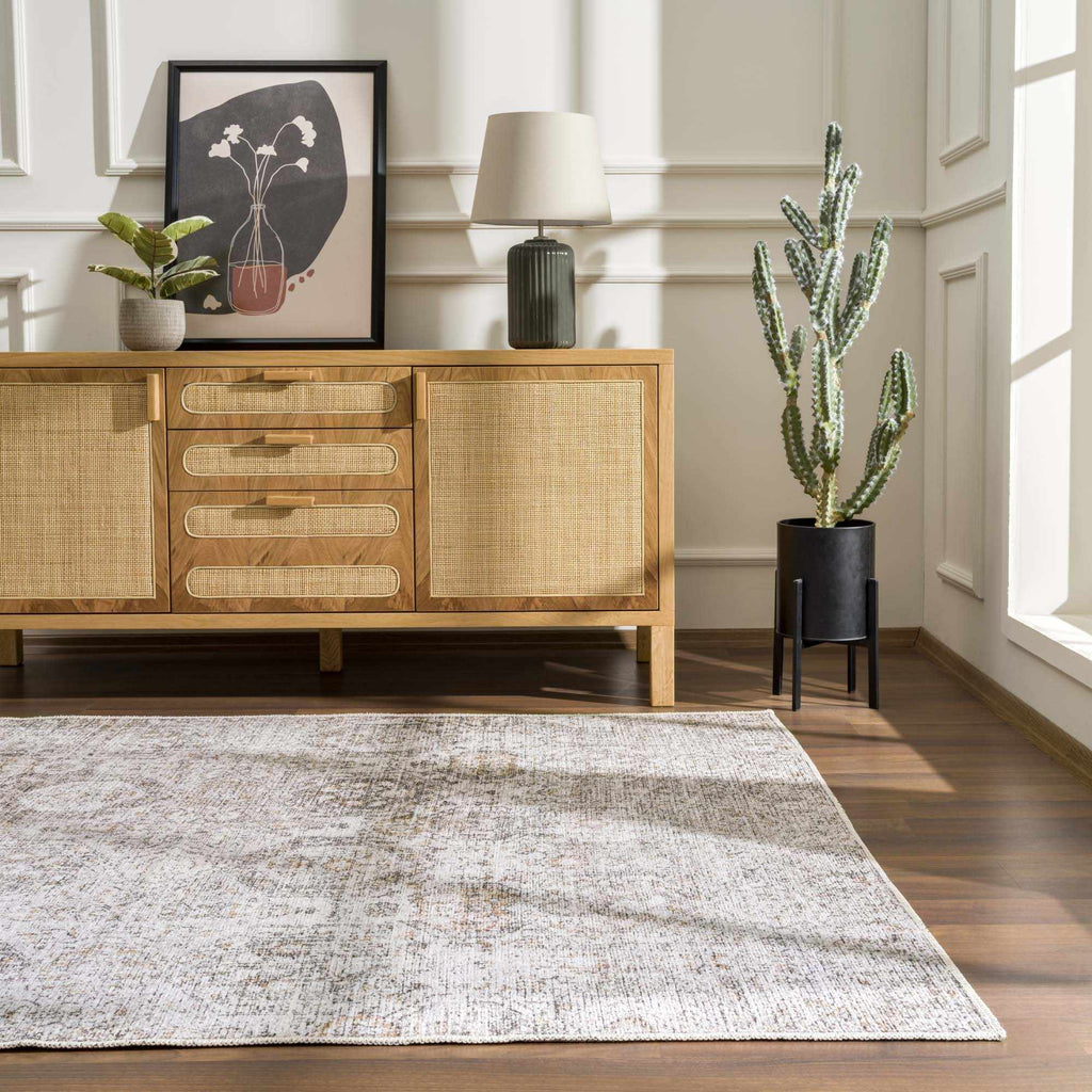 Marlowe Safira Beige & Gray Traditional Rug