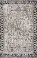 Holi-4606 Washable Area Rug - Clearance
