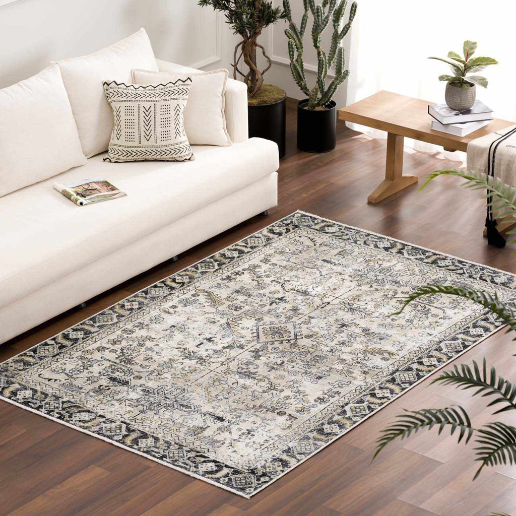 Holi-4606 Washable Area Rug - Clearance