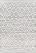 Bartimaeus Area Rug - Clearance