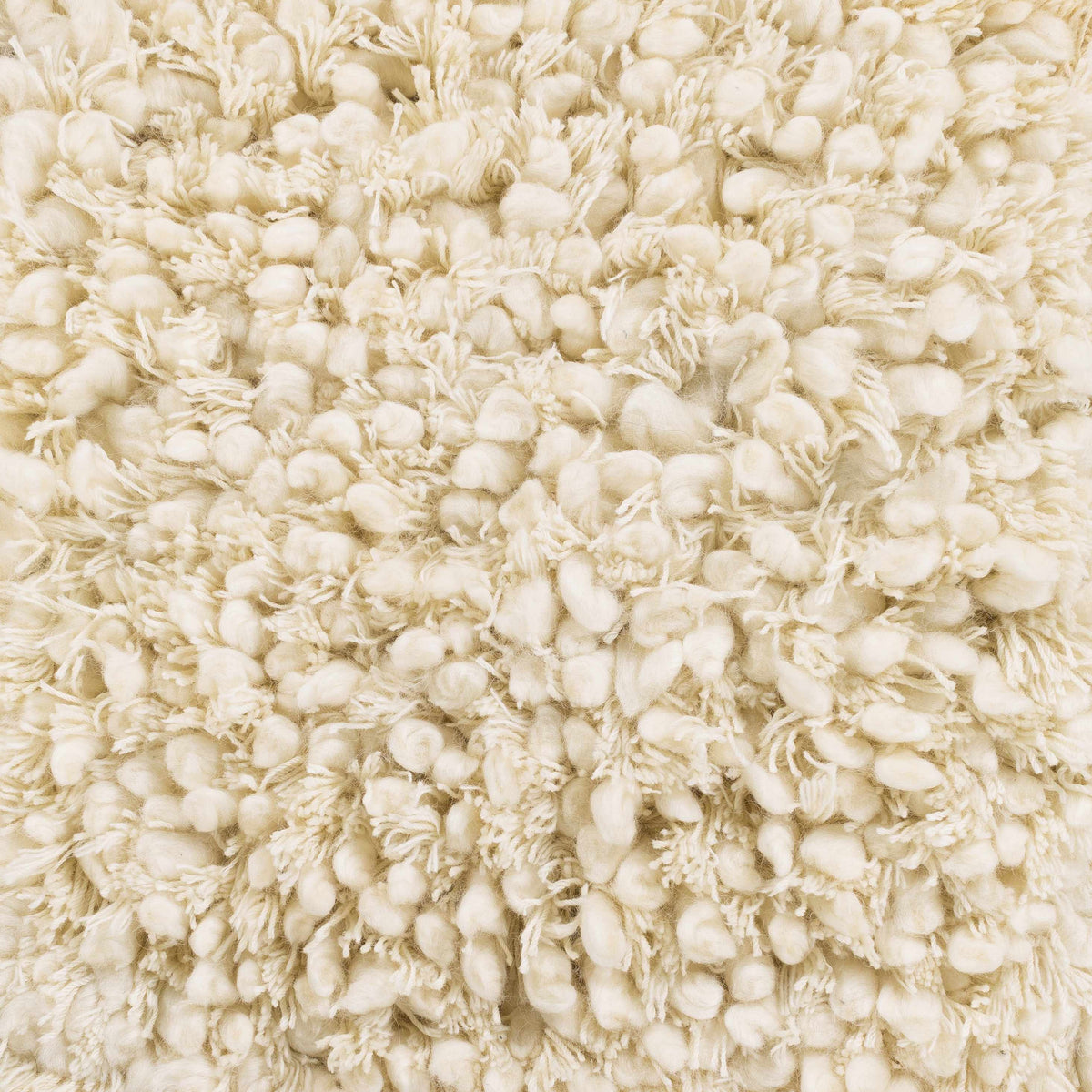 Bedias Wool Area Carpet - Clearance