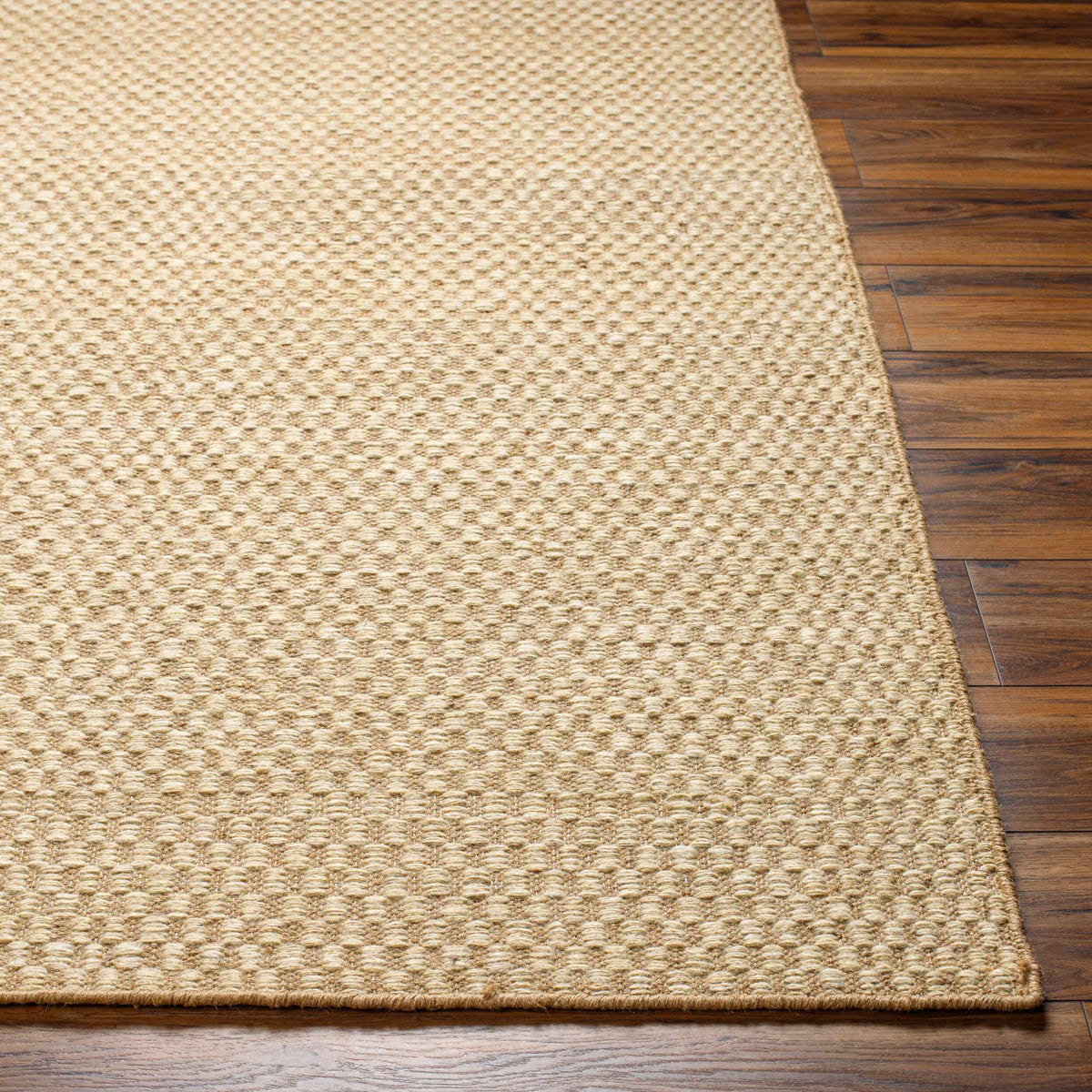 Ayers Beige Area Rug - Clearance