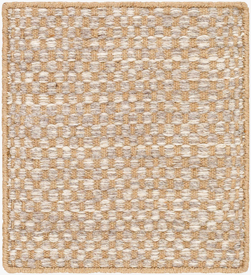 Ayers Beige & Gray Area Rug - Clearance