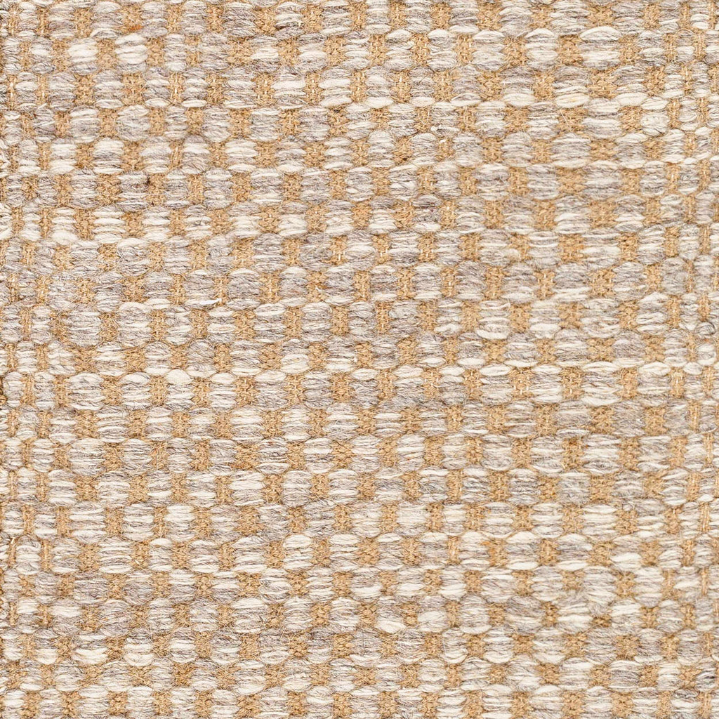Ayers Beige & Gray Area Rug - Clearance