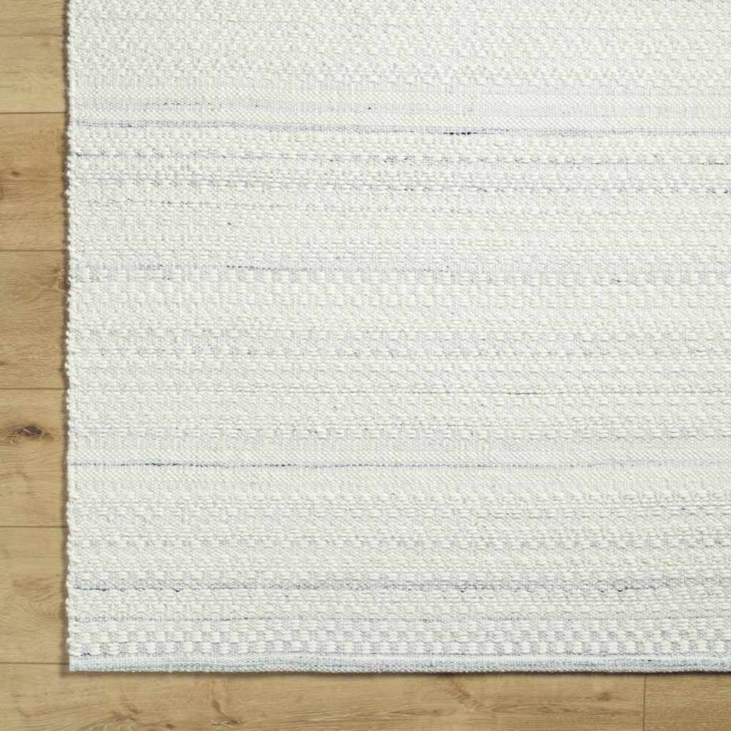 Kendi Light Slate Area Rug - Clearance