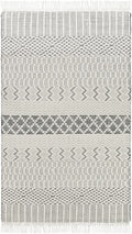 Limoges Area Carpet - Clearance