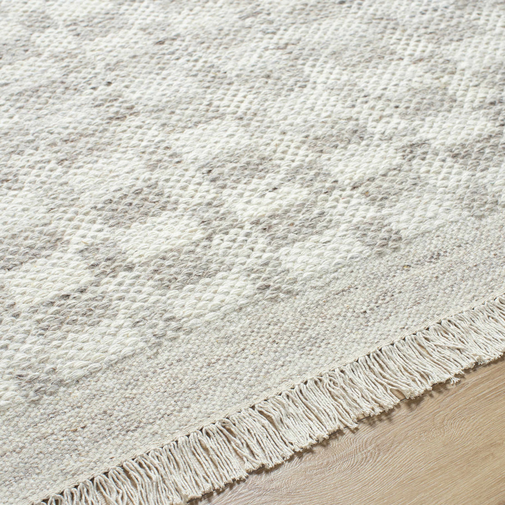 Meira Medium Gray Area Rug - Clearance