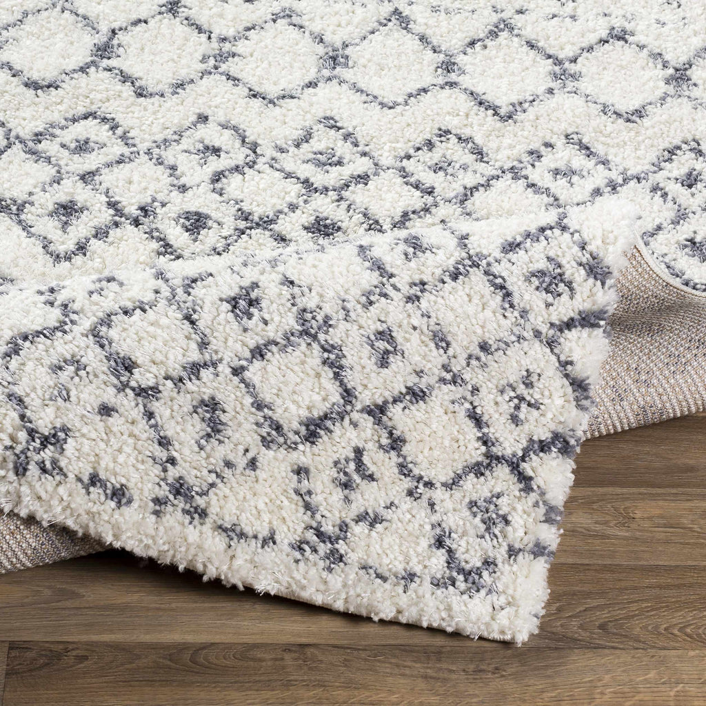 White Gray Navassa Rug - Clearance