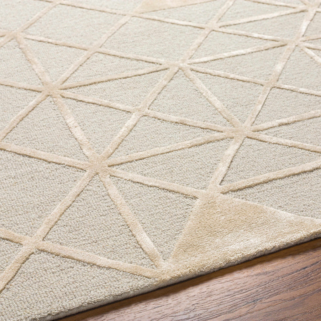 Botiu Blue Geometric Hand Tufted Wool Area Rug - Clearance