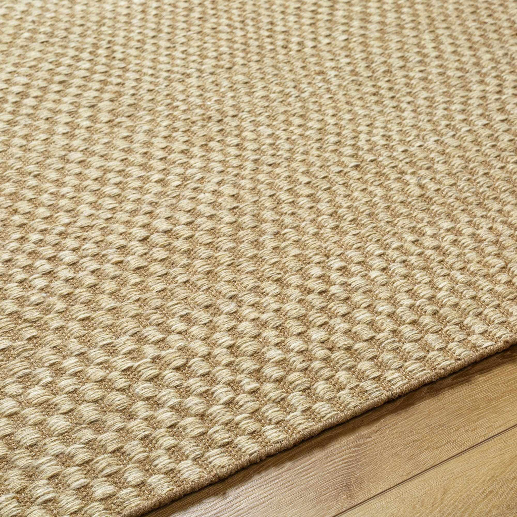 Ayers Beige Area Rug - Clearance