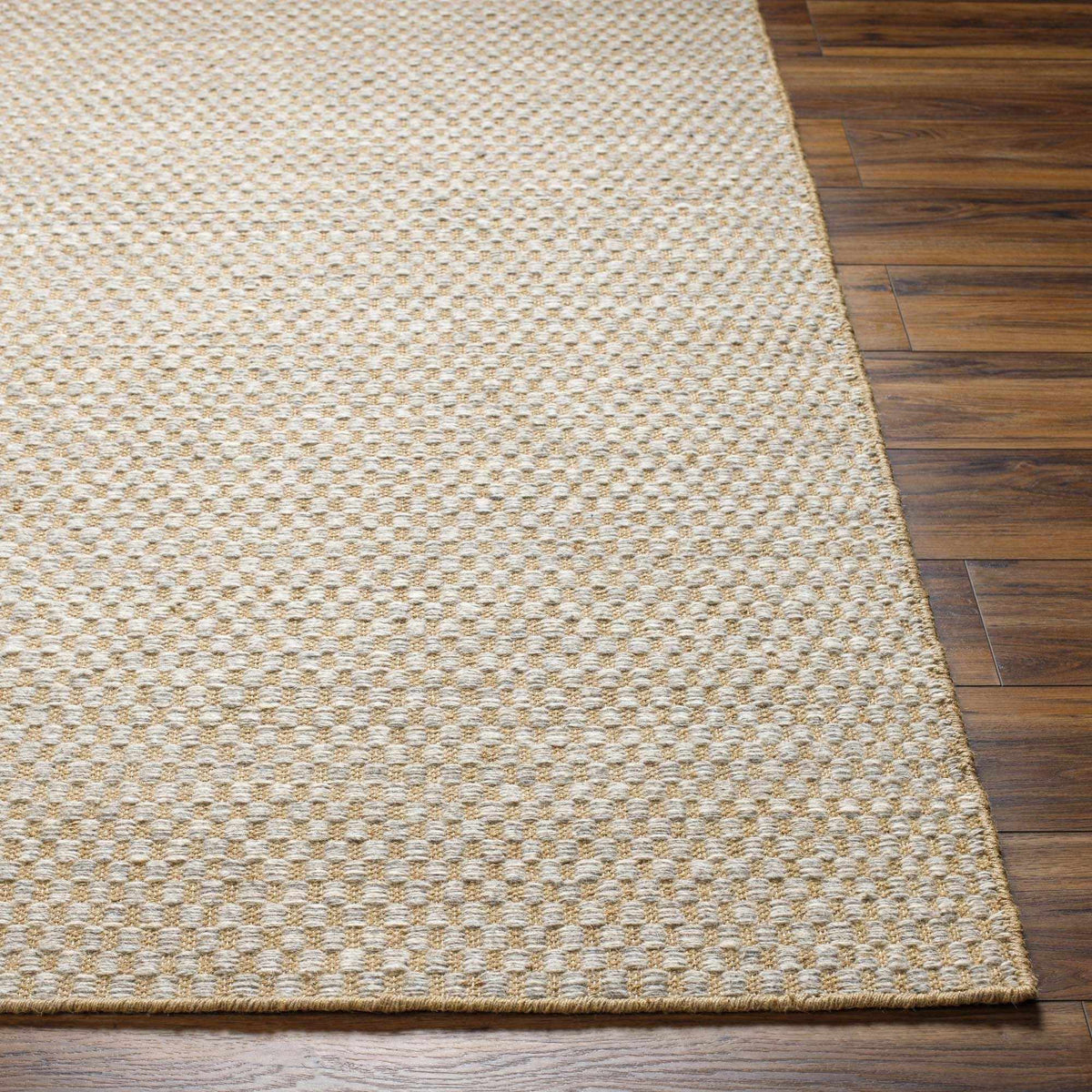 Ayers Beige & Gray Area Rug - Clearance