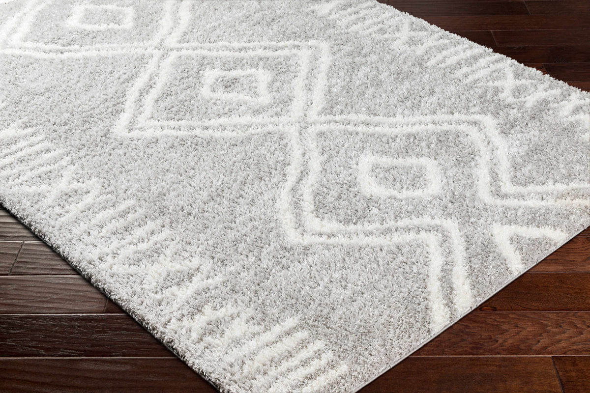 Asael Gray Area Rug - Clearance