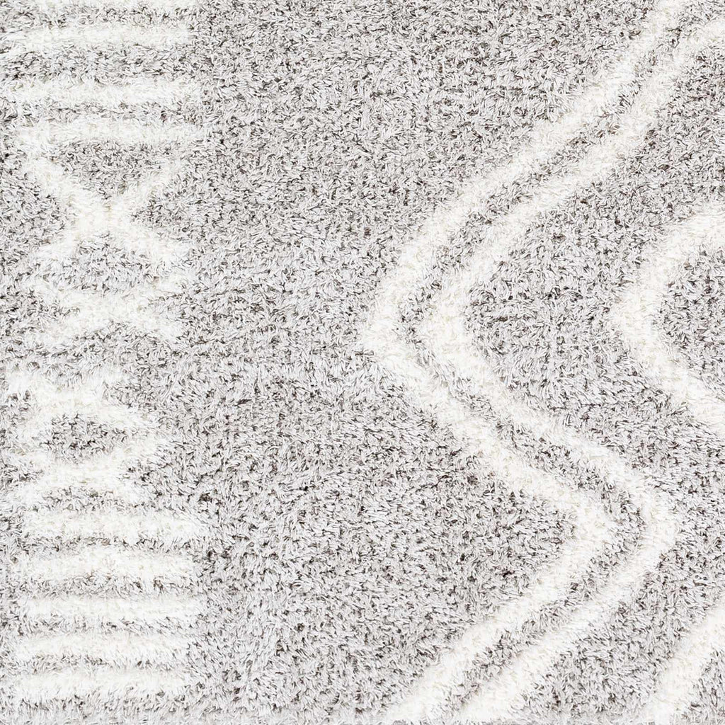 Asael Gray Area Rug - Clearance