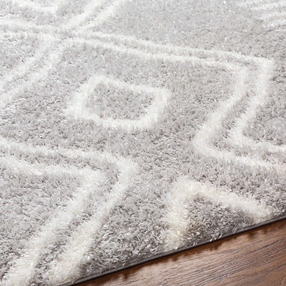 Asael Gray Area Rug - Clearance