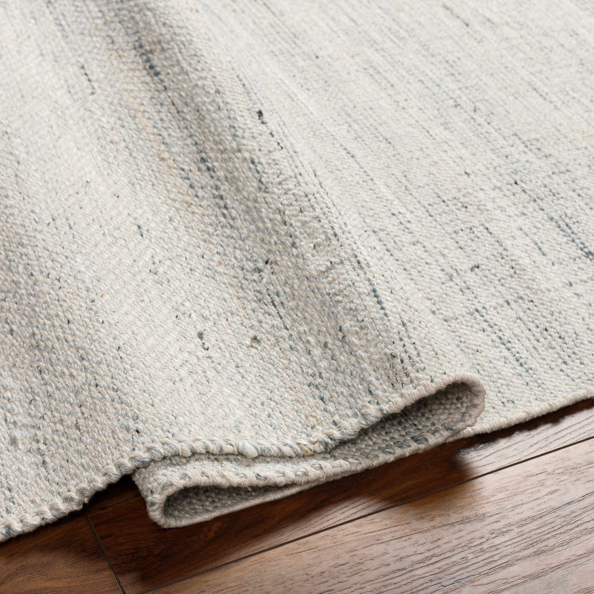 Anaya Beige & Blue Area Rug - Clearance