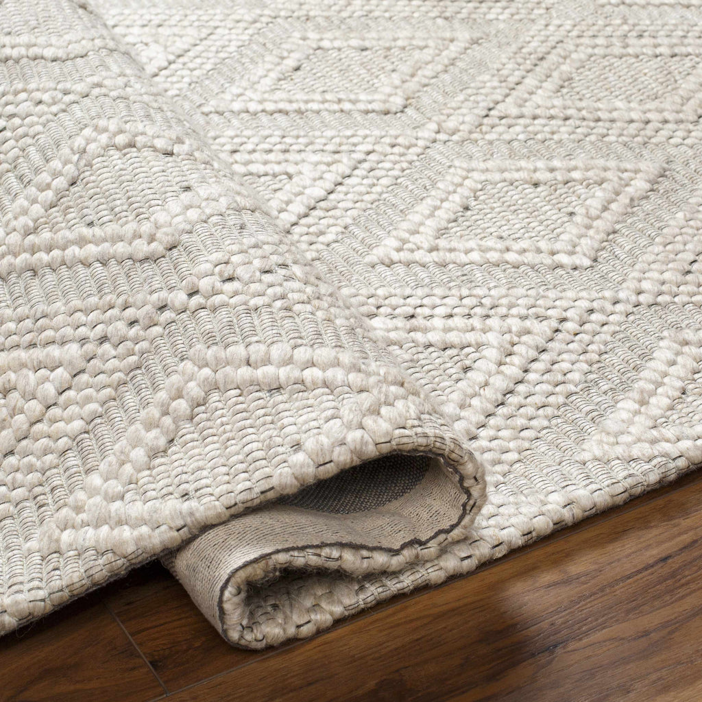Kasib Beige Hand Woven Area Rug - Clearance