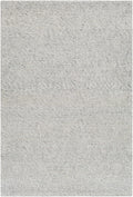 Kasib Gray Hand Woven Area Rug - Clearance
